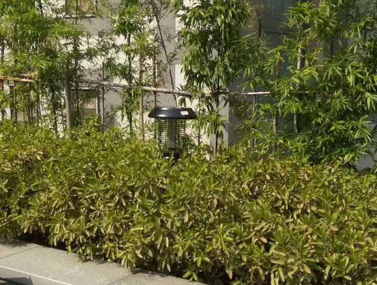 江西某小區(qū)安裝尚科戶(hù)外草坪燈效果 江西某小區(qū)安裝尚科戶(hù)外草坪燈效果