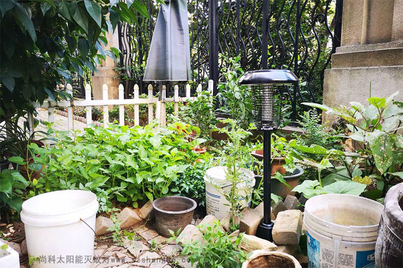 戶(hù)外滅蚊親測(cè)：滅蚊燈效果怎么樣？到底有用嗎