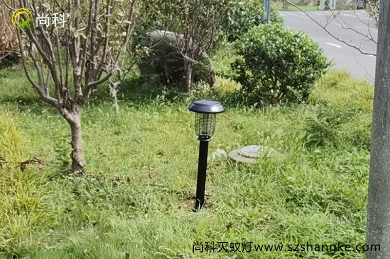 浙江嘉興無(wú)蚊村的秘密，太陽(yáng)能滅蚊燈是亮點(diǎn)
